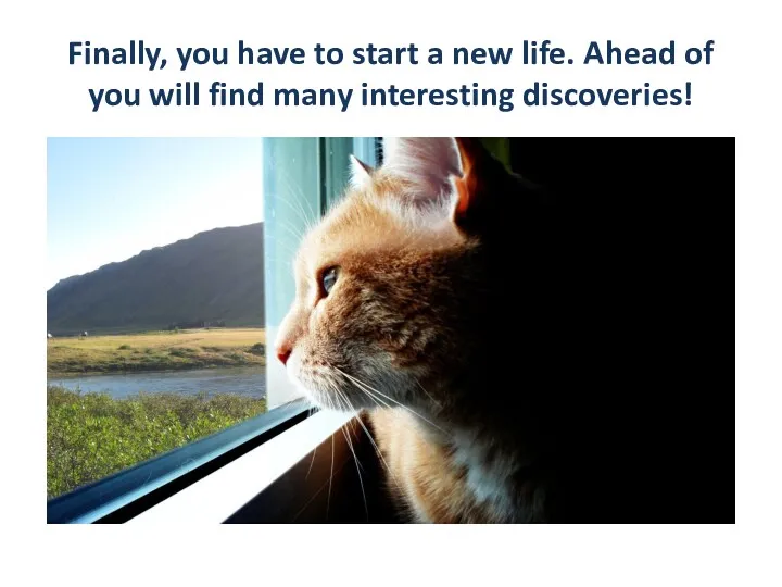 Finally, you have to start a new life. Ahead of you will find many interesting discoveries!