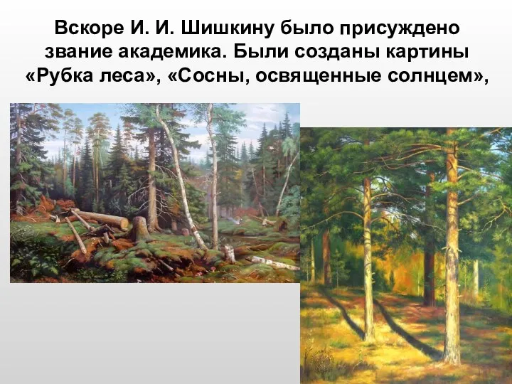 Вскоре И. И. Шишкину было присуждено звание академика. Были созданы картины «Рубка леса», «Сосны, освященные солнцем»,