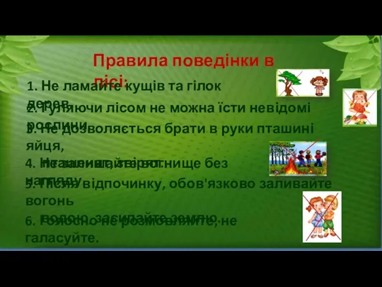 Правила поведінки в лісі: 1. Не ламайте кущів та гілок