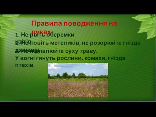 Правила поводження на луках: 1. Не рвіть оберемки квітів 2.