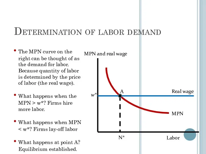 Determination of labor demand w* N* MPN and real wage