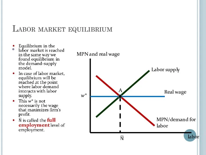 Labor market equilibrium w* MPN and real wage labor MPN/demand