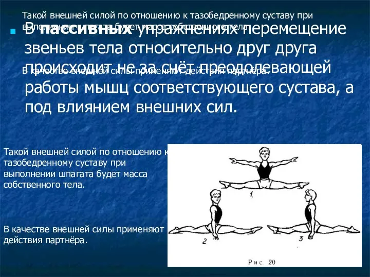 Такой внешней силой по отношению к тазобедренному суставу при выполнении