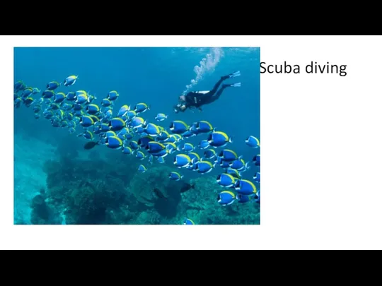 Scuba diving