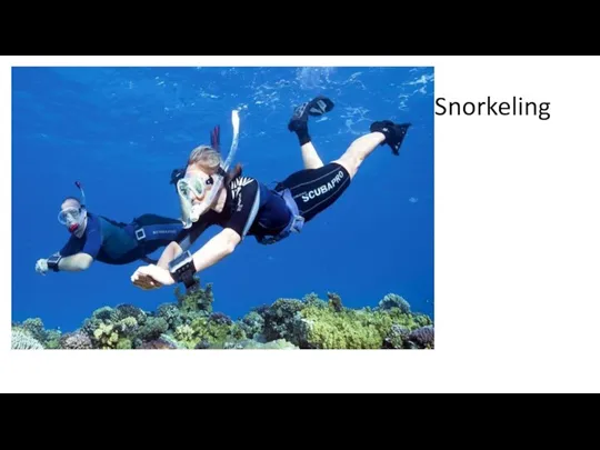 Snorkeling