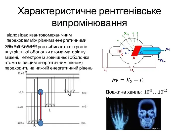 Характеристичне рентгенівське випромінювання відповідає квантовомеханічним переходам між різними енергетичними рівнями