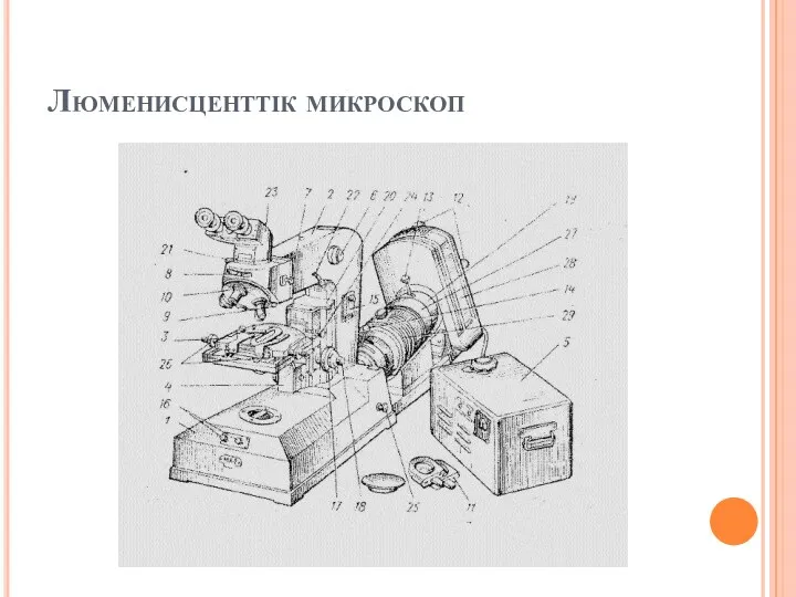 Люменисценттік микроскоп