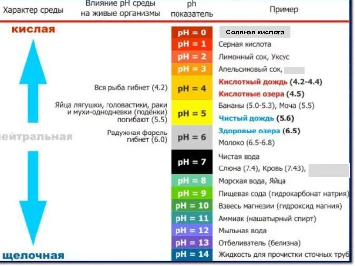 Соляная кислота