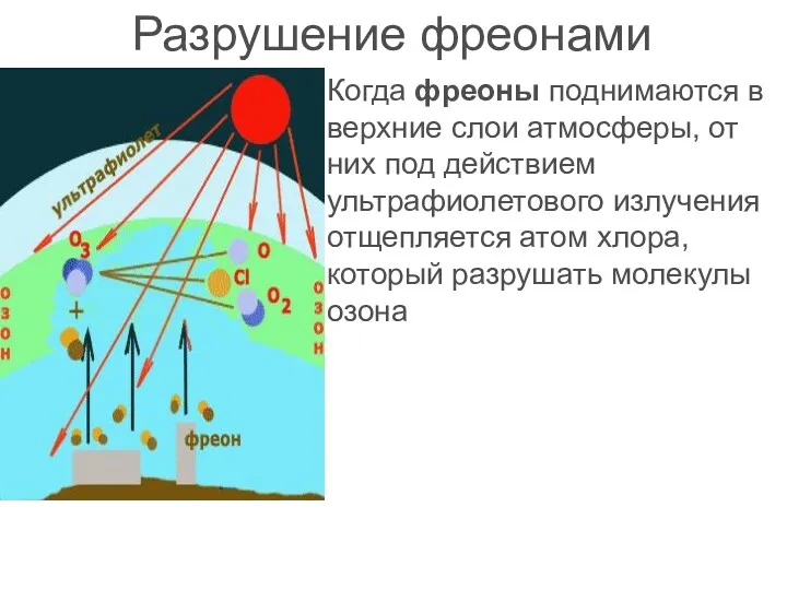 Разрушение фреонами Когда фреоны поднимаются в верхние слои атмосферы, от