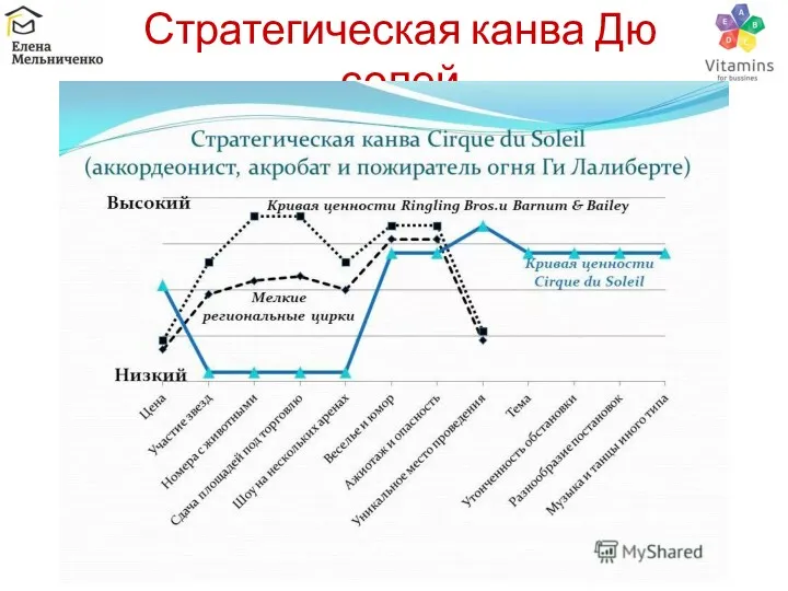 Стратегическая канва Дю солей