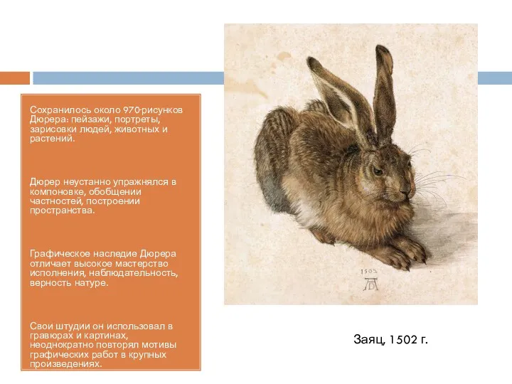 Сохранилось около 970 рисунков Дюрера: пейзажи, портреты, зарисовки людей, животных и растений. Дюрер