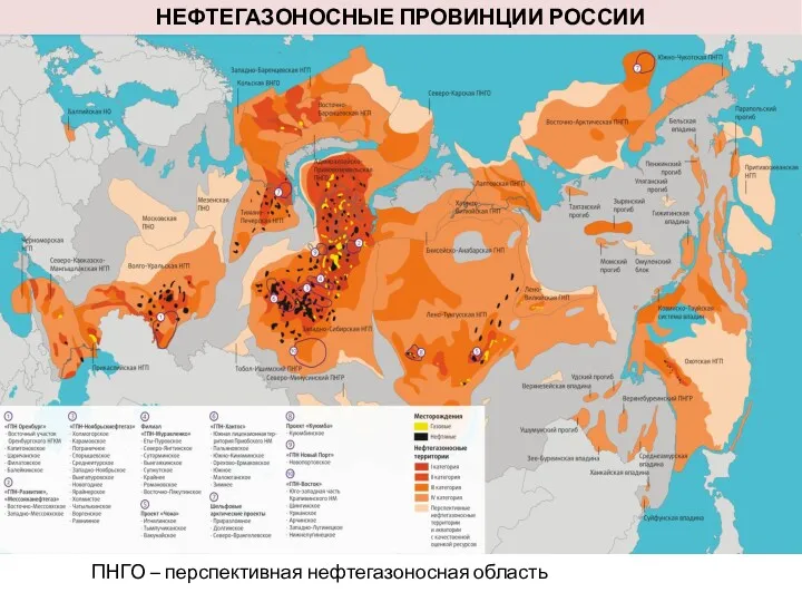 НЕФТЕГАЗОНОСНЫЕ ПРОВИНЦИИ РОССИИ ПНГО – перспективная нефтегазоносная область