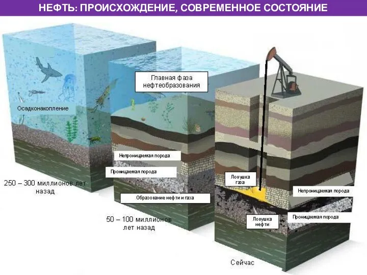 НЕФТЬ: ПРОИСХОЖДЕНИЕ, СОВРЕМЕННОЕ СОСТОЯНИЕ