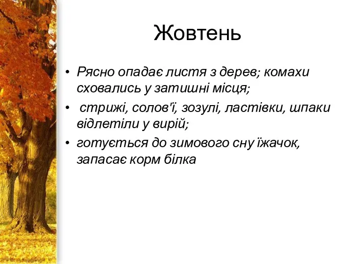 Жовтень Рясно опадає листя з дерев; комахи сховались у затишні місця; стрижі, солов'ї,