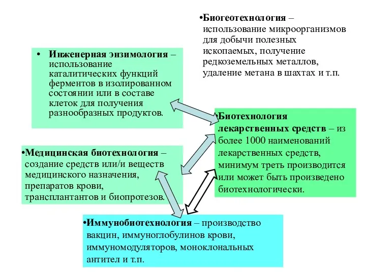 Инженерная энзимология – использование каталитических функций ферментов в изолированном состоянии или в составе