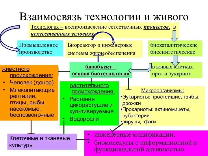 Взаимосвязь технологии и живого инженерные модификации, биомолекулы с информационной и функциональной активностью Технология