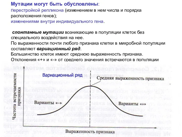 Мутации могут быть обусловлены: перестройкой репликона (изменением в нем числа и порядка расположения