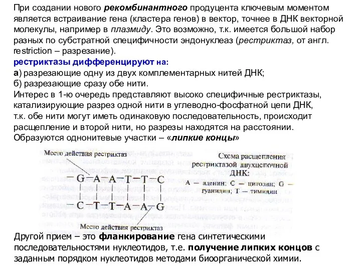 При создании нового рекомбинантного продуцента ключевым моментом является встраивание гена (кластера генов) в