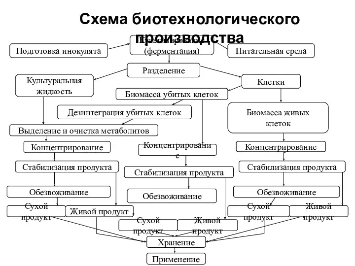 Питательная среда Разделение Культуральная жидкость Клетки Концентрирование Концентрирование Концентрирование Выделение и очистка метаболитов