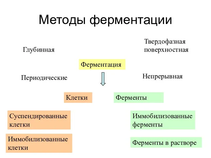 Методы ферментации Ферментация Глубинная Периодические Твердофазная поверхностная Непрерывная Клетки Суспендированные клетки Иммобилизованные клетки