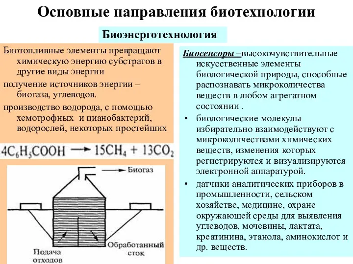 Основные направления биотехнологии Биотопливные элементы превращают химическую энергию субстратов в другие виды энергии