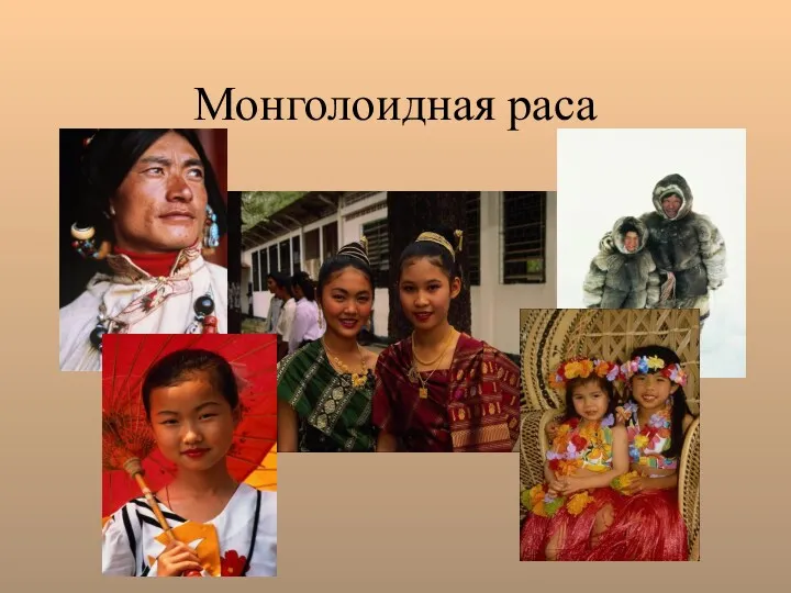 Монголоидная раса