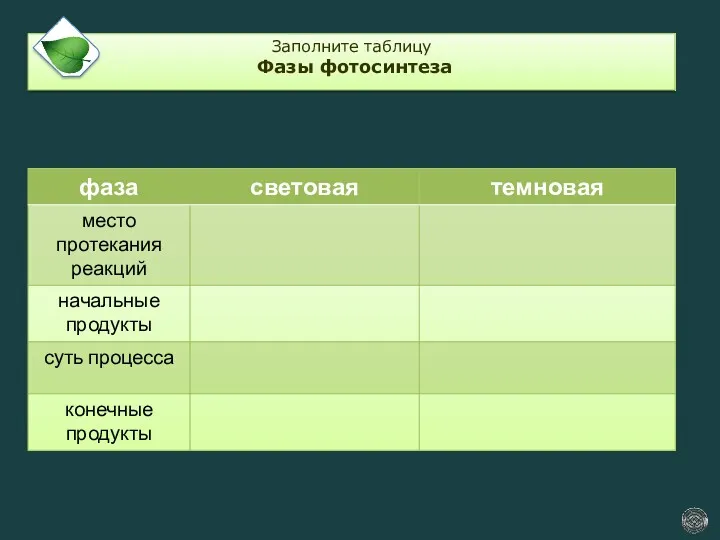 Заполните таблицу Фазы фотосинтеза