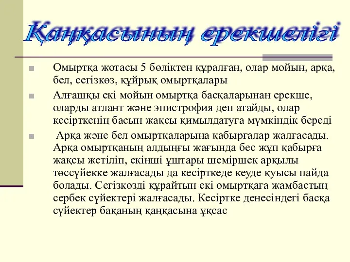 Қаңқасының ерекшелігі Омыртқа жотасы 5 бөліктен құралған, олар мойын, арқа,