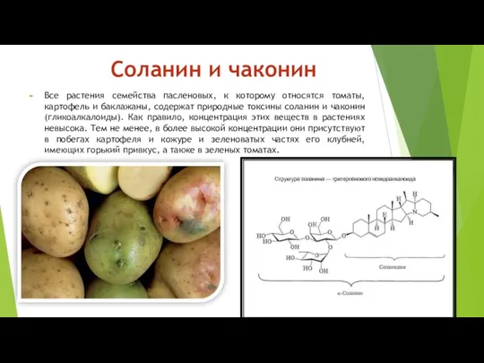 Соланин и чаконин Все растения семейства пасленовых, к которому относятся