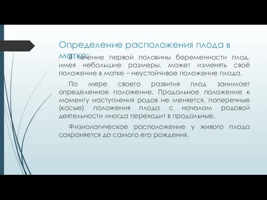 Определение расположения плода в матке: В течение первой половины беременности