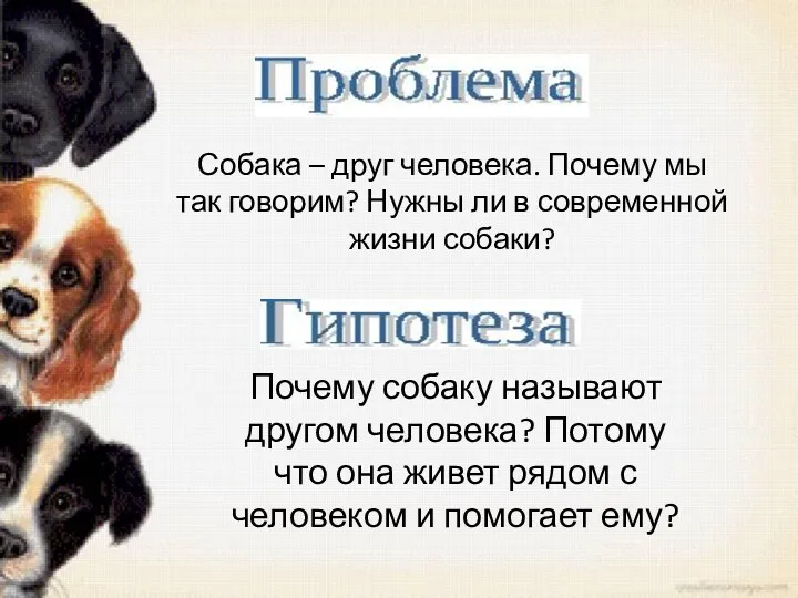 Собака – друг человека. Почему мы так говорим? Нужны ли