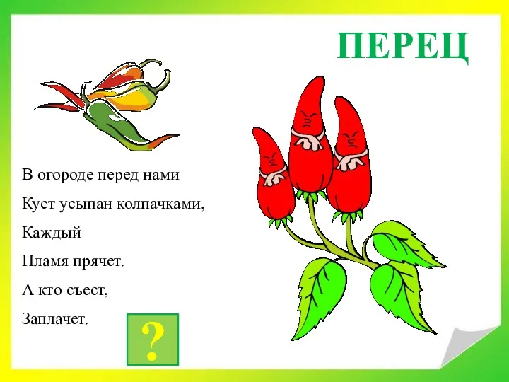 ПЕРЕЦ В огороде перед нами Куст усыпан колпачками, Каждый Пламя прячет. А кто съест, Заплачет. ?