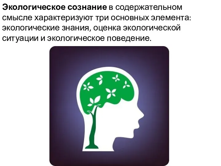 Экологическое сознание в содержательном смысле характеризуют три основных элемента: экологические