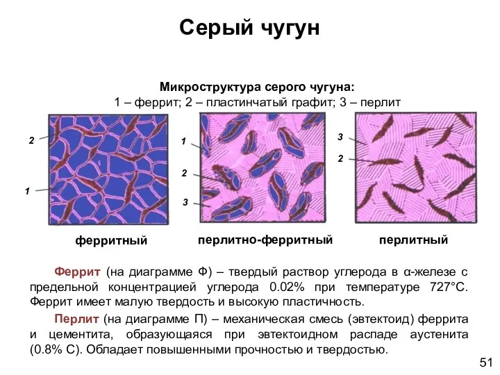 Серый чугун Микроструктура серого чугуна: 1 – феррит; 2 –