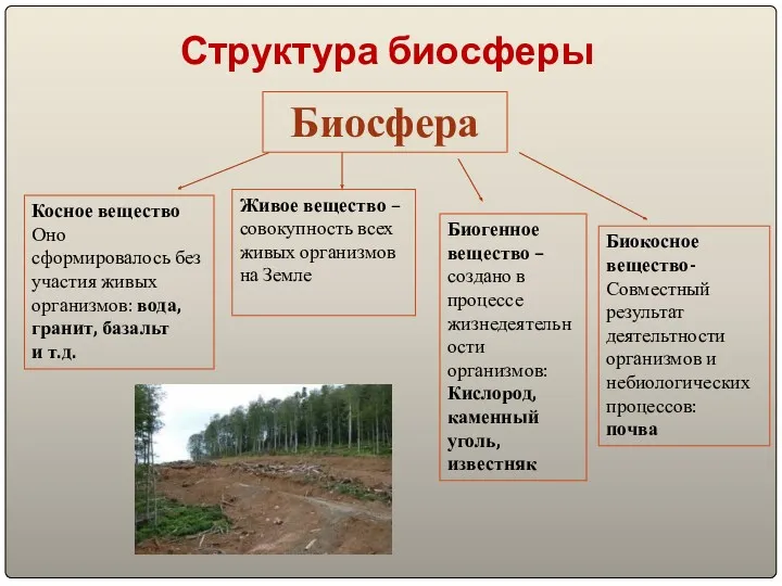 Структура биосферы Биосфера Косное вещество Оно сформировалось без участия живых