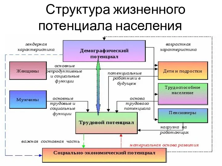 Структура жизненного потенциала населения