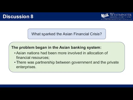 Discussion 8 What sparked the Asian Financial Crisis? The problem