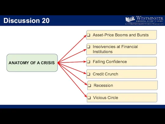 Discussion 20 Asset-Price Booms and Bursts ANATOMY OF A CRISIS