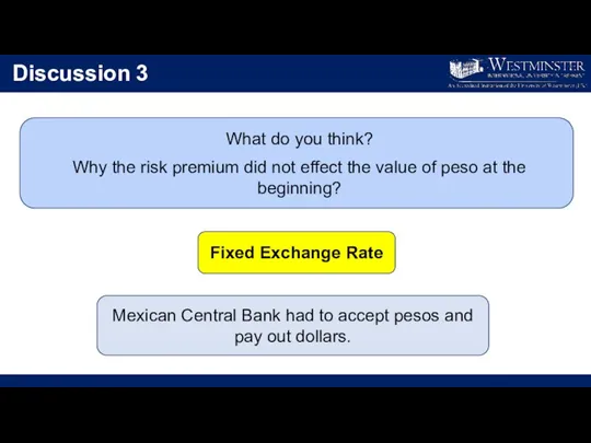 Discussion 3 What do you think? Why the risk premium