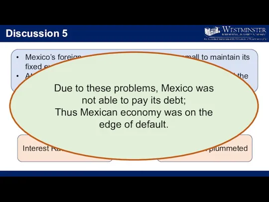 Discussion 5 Mexico’s foreign-currency reserves were too small to maintain