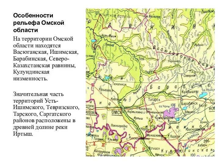Особенности рельефа Омской области На территории Омской области находятся Васюганская,