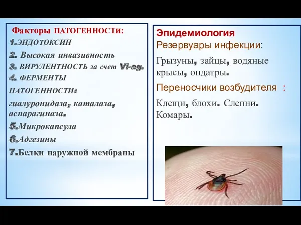 Факторы ПАТОГЕННОСТи: 1.ЭНДОТОКСИН 2. Высокая инвазивность 3. ВИРУЛЕНТНОСТЬ за счет Vi-ag. 4. ФЕРМЕНТЫ