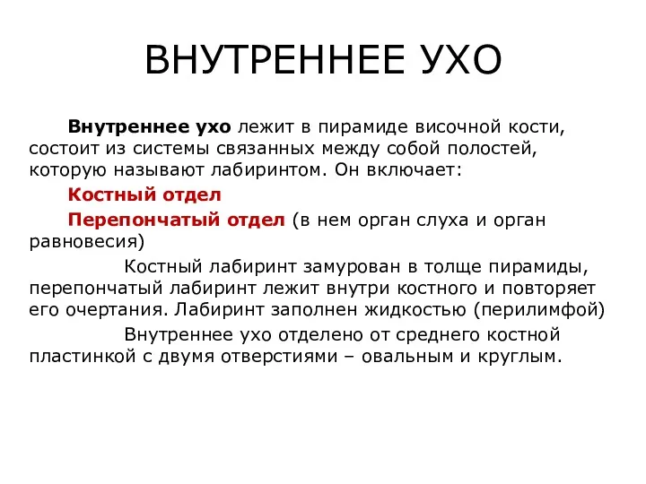 ВНУТРЕННЕЕ УХО Внутреннее ухо лежит в пирамиде височной кости, состоит