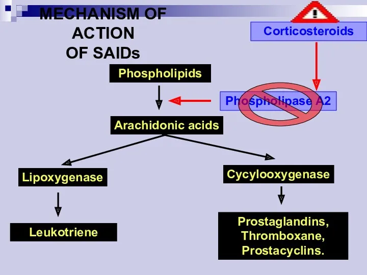 Phospholipids Arachidonic acids Lipoxygenase Cycylooxygenase Leukotriene Prostaglandins, Thromboxane, Prostacyclins. Phospholipase