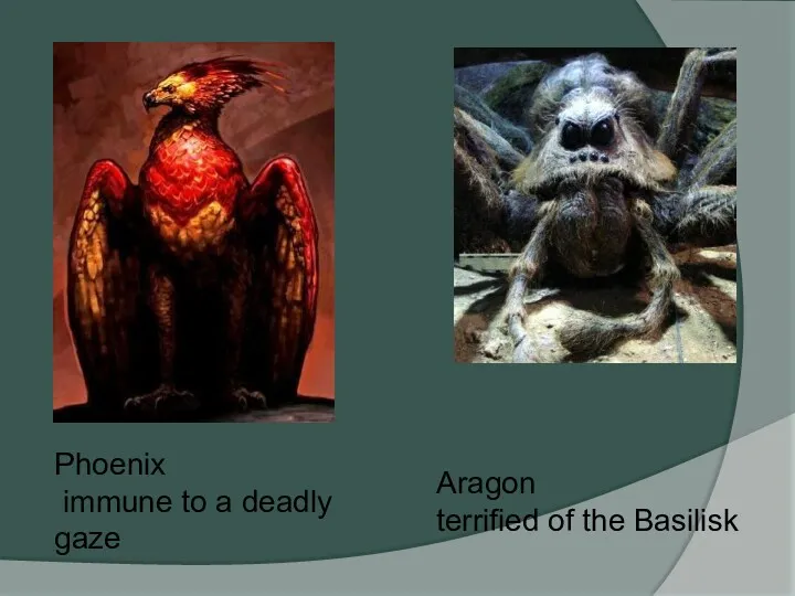 Phoenix immune to a deadly gaze Aragon terrified of the Basilisk