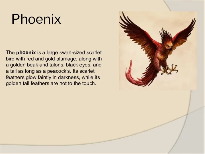 Phoenix The phoenix is a large swan-sized scarlet bird with