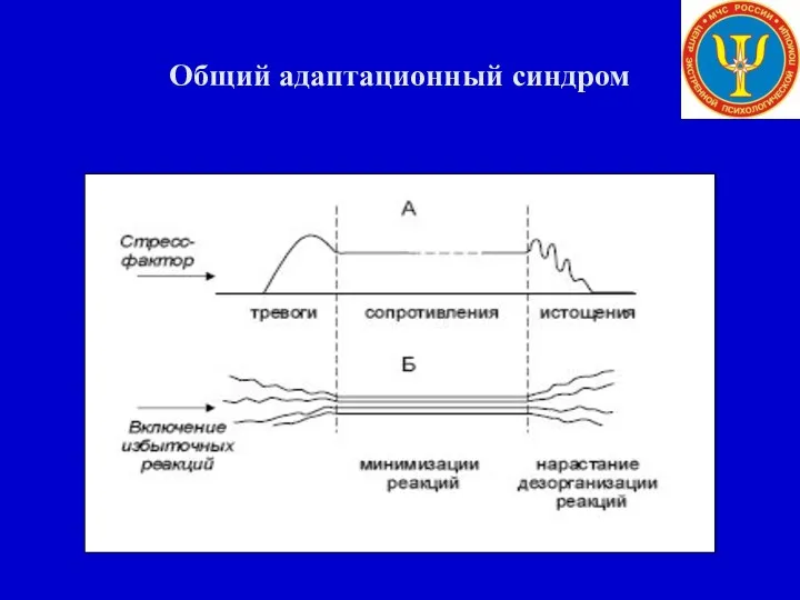 Общий адаптационный синдром