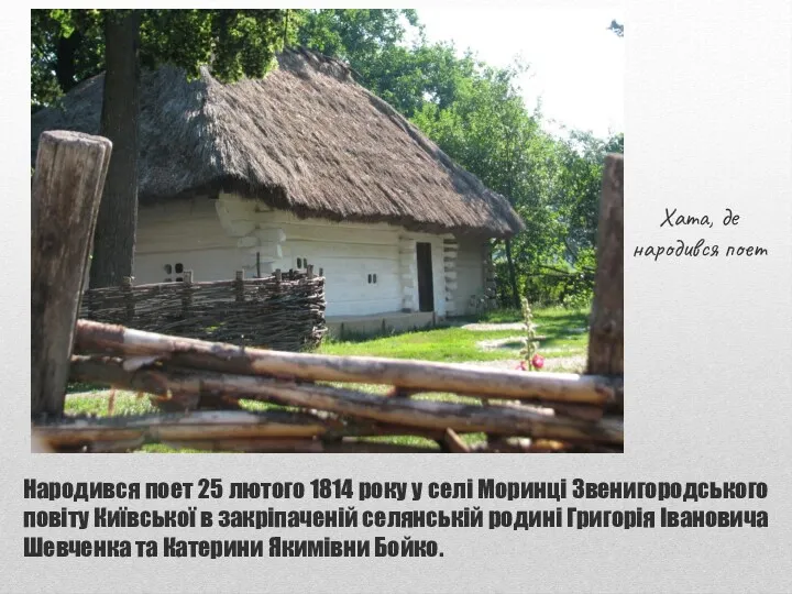 Народився поет 25 лютого 1814 року у селі Моринці Звенигородського