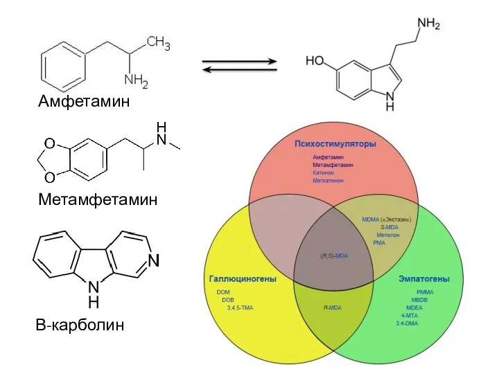 Метамфетамин Серотонин Амфетамин Β-карболин