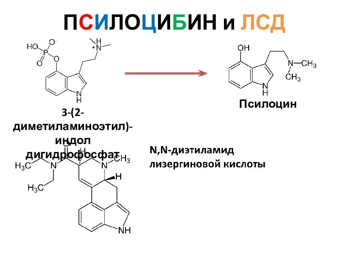 ПСИЛОЦИБИН и ЛСД 3-(2-диметиламиноэтил)-индол дигидрофосфат Псилоцин